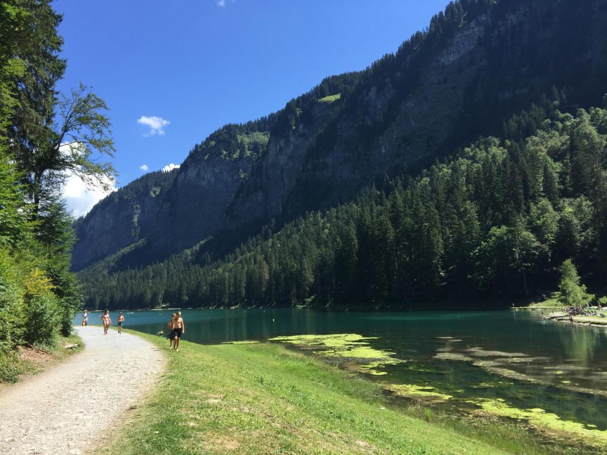 Les Cimes Apartment Samoens Luaran gambar